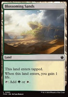 FDN 260: Blossoming Sands (C)