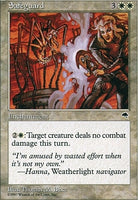 TMP 039 Safeguard (R)