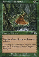 EXO 122 Rootwater Alligator (C)