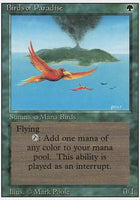 3rd Edition 187: Birds of Paradise (R)