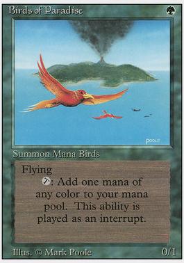 3rd Edition 187: Birds of Paradise (R)