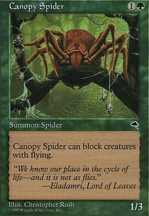 TMP 217 Canopy Spider (C)