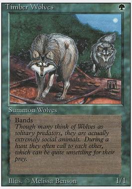 3rd Edition 219: Timber Wolves (R)