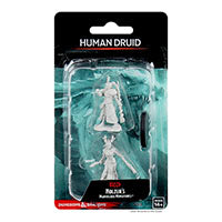 WizKids - D&D Nolzurs Marvelous Miniatures: Female Human Druid