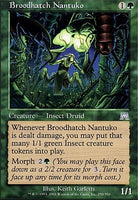 ONS 250 Broodhatch Nantuko (U)