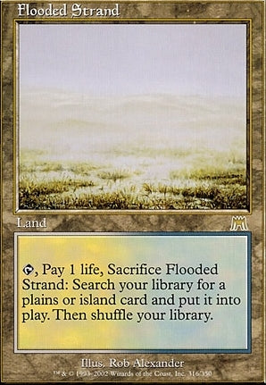 ONS 316 Flooded Strand (R)