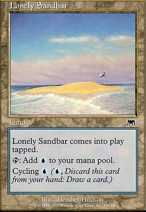 ONS 320 Lonely Sandbar (C)