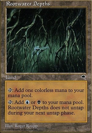 TMP 323 Rootwater Depths (U)