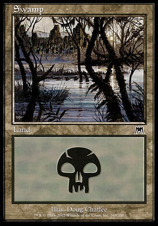 ONS 340 SWAMP B