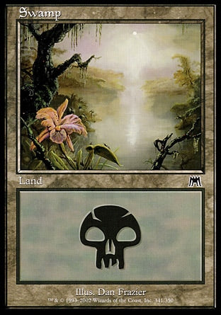 ONS 341 SWAMP C