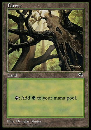 TMP 347 Forest A
