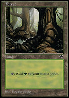 TMP 348 FOREST B