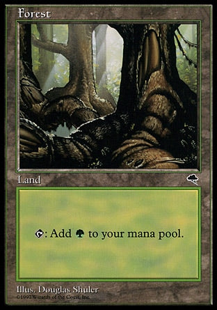 TMP 348 FOREST B