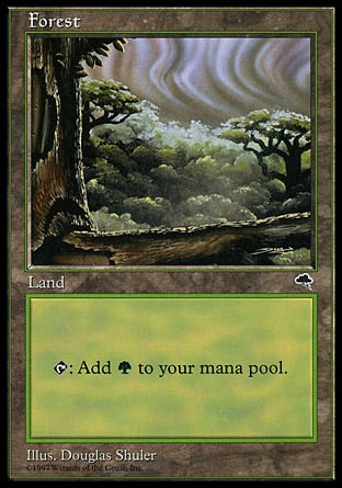 TMP 349 FOREST C