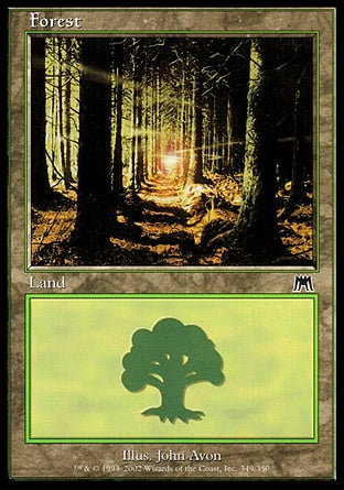 ONS 349 FOREST C