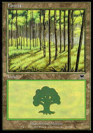 ONS 350 FOREST D