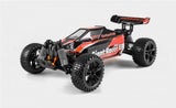 BSD 1/10 GIANT RACER BUGGY BRUSHLESS