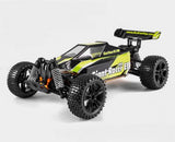 BSD 1/10 GIANT RACER BUGGY BRUSHLESS