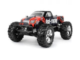 BSD 1/10 MONSTER TRUCK BRUSHED