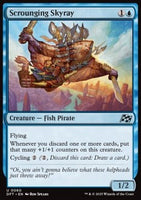 DFT 060 U: Scrounging Skyray