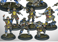 Cygnar Gravediggers Auxiliary Expansion