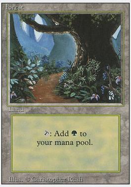 3rd Edition 292: Forest V1