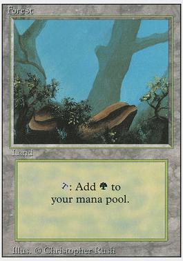 3rd Edition 293: Forest V2