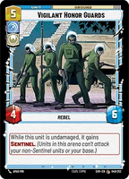 048/252 Vigilant Honor Guards (C)