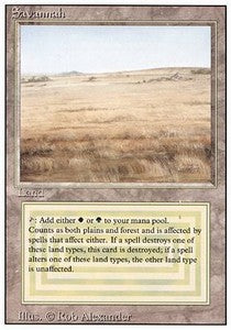 3rd Edition 285: Savannah (R)