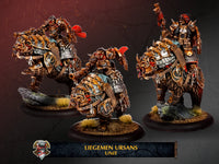Khador Old Umbrey Auxiliary Expansion