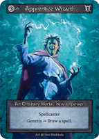 Apprentice Wizard An Ordinary Mortal new to power