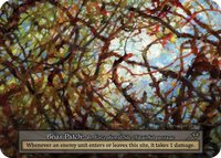 Briar Patch, An Exceptional Site of painful passage