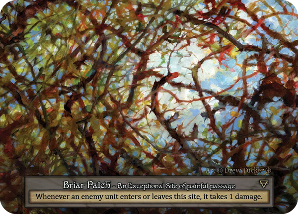 Briar Patch, An Exceptional Site of painful passage