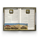 FLAMES OF WAR: LIBERATION OF ITALY - FORCES ON THE SOUTHERN FRONT, 1944 - 45