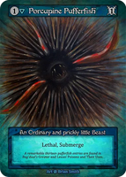 Porcupine Pufferfish An Ordinary and prickly little Beast