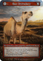 Raal Dromedary An Ordinary and superbly indifferent Beast