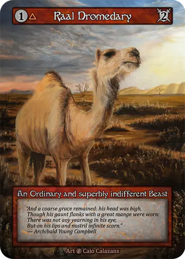 Raal Dromedary An Ordinary and superbly indifferent Beast