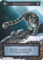 Snow Leopard An Ordinary Beast prowls powdry peaks