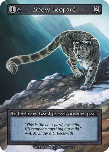 Snow Leopard An Ordinary Beast prowls powdry peaks