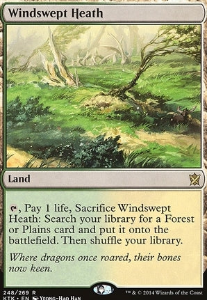 Khans of Tarkir 248: Windswept Heath (R)