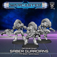 Empyrean Squad: Saber Guardians